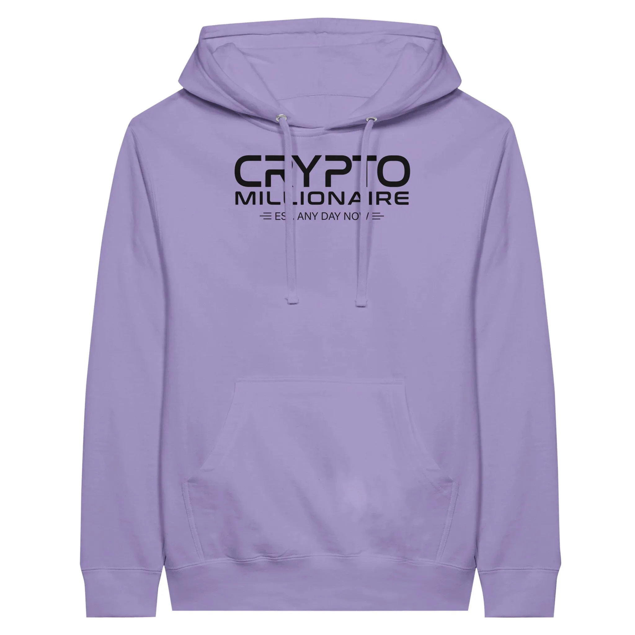 Crypto Millionaire Unisex Pullover Hoodie
