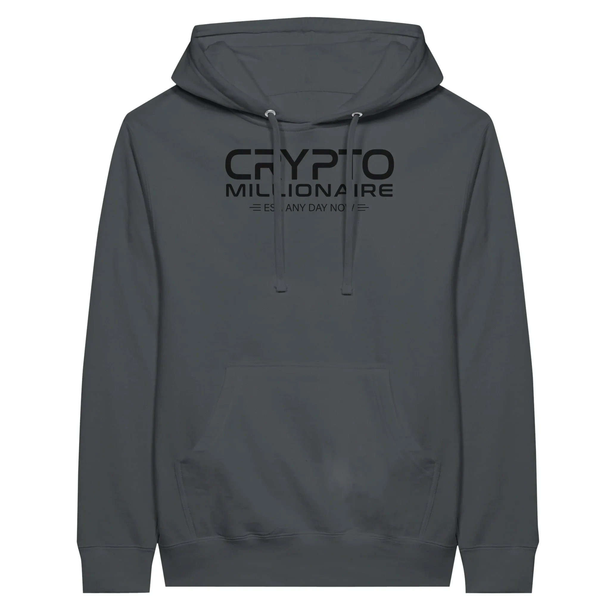 Crypto Millionaire Unisex Pullover Hoodie