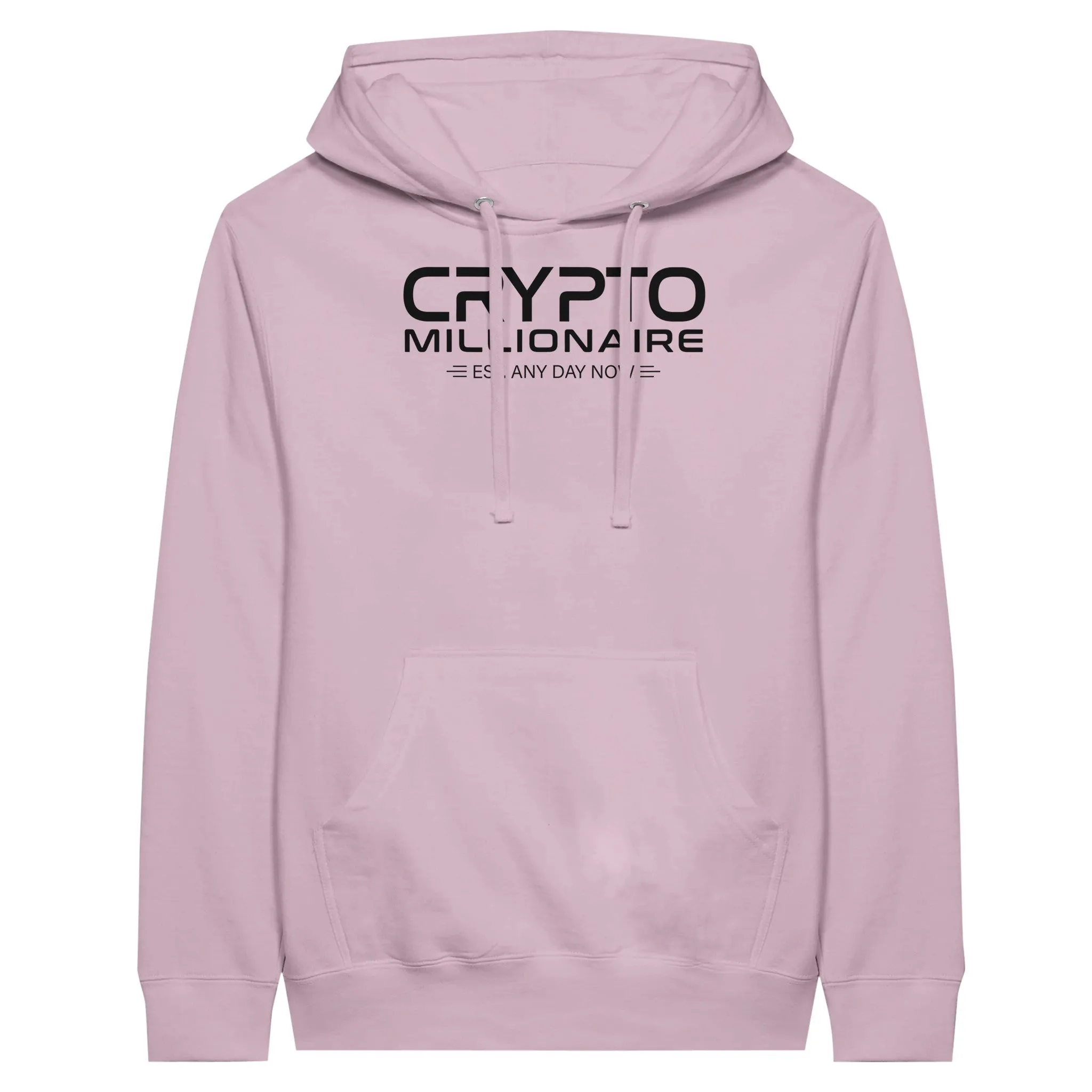 Crypto Millionaire Unisex Pullover Hoodie